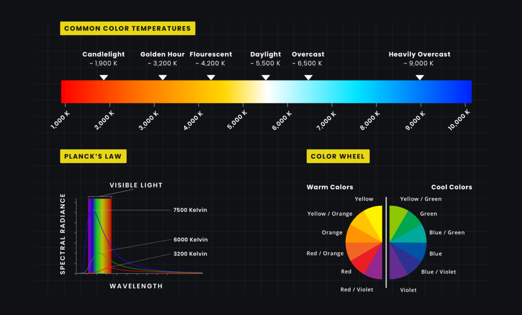 Human hair wig color temperatures