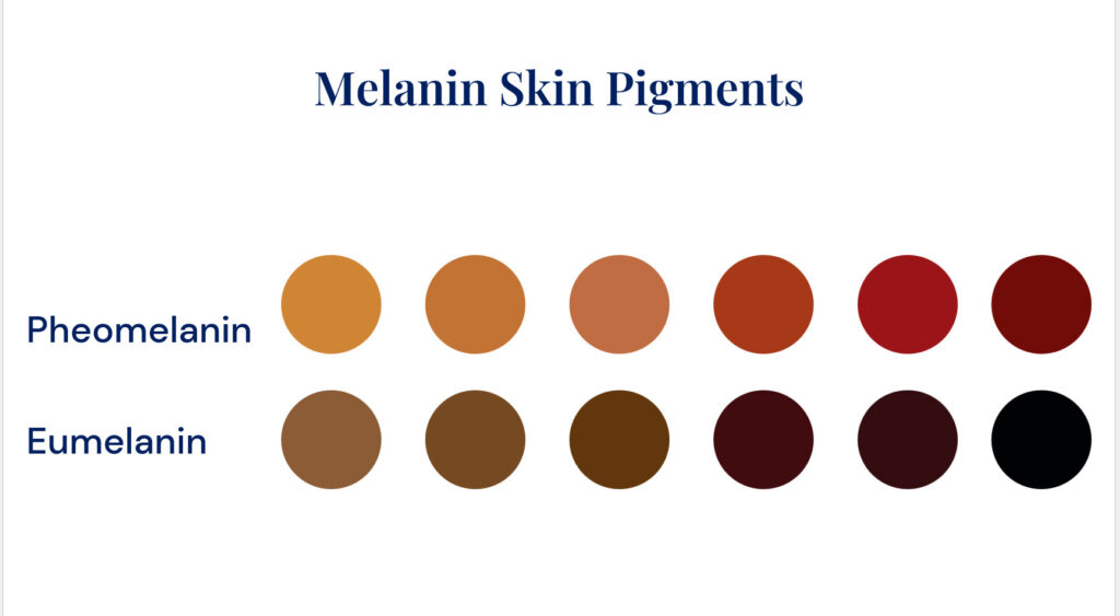 melanin skin pigments eumelanin and pheomelanin